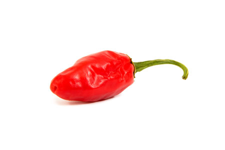Single Red Chili, Isolated on White Backgroundの写真素材