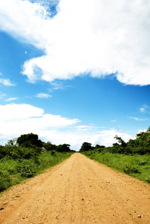 Straight Dirt Road Disappearing into the Distance, Africaの写真素材