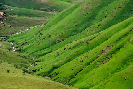 Majestic Green Drakensberg Mountains, Qwa-Qwa, Southern Africaの写真素材