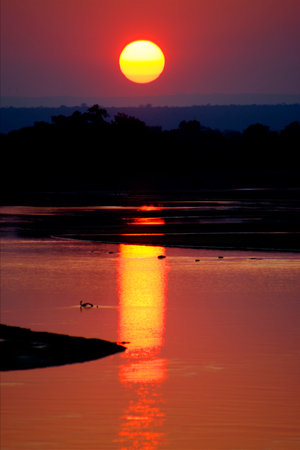 Beautiful Africa Sunset over Luangwa River, Zambia, Africaの写真素材
