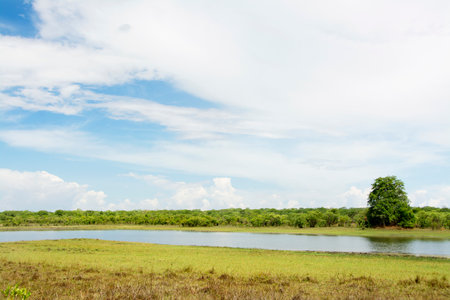 Beautiful Day at Lifupa Dam, Kasungu National Park, Malawiの写真素材