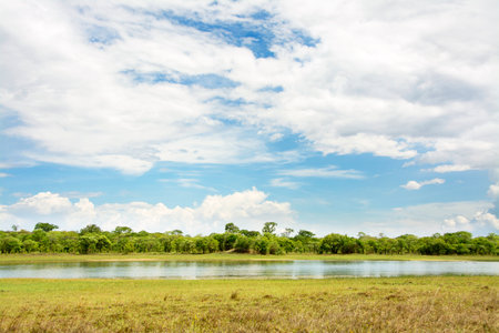 Beautiful Day at Lifupa Dam, Kasungu National Park, Malawiの写真素材