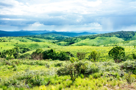 Nyika Plateau in Malawi, Central Africa, on a Rainy Dayの写真素材