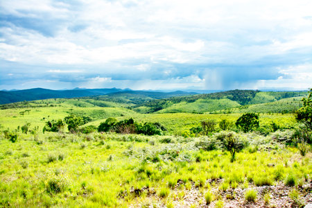 Nyika Plateau in Malawi, Central Africa, on a Rainy Dayの写真素材