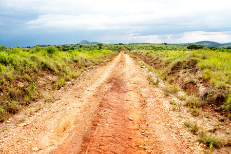 Dirt Road on Nyika Plateau, Malawi, Central Africa, with a Thunder Storm Approachingの写真素材