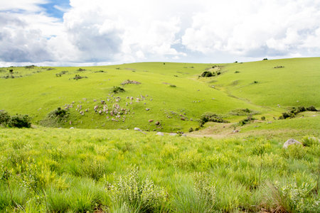 Beautiful Hills on Nyika Plateau in the Rainy Season, Malawi, Africaの写真素材