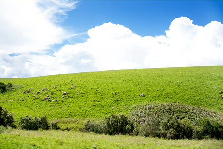 Beautiful Hills on Nyika Plateau in the Rainy Season, Malawi, Africaの写真素材