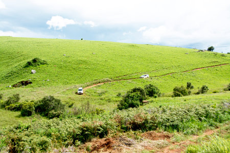 Two 4x4 Vehicles Traveling in Convoy on Dangerous Dirt Road in Nyika Plateau, Malawi, Africaの写真素材