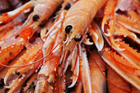 Jumbo prawns displayed on fish market stallの写真素材
