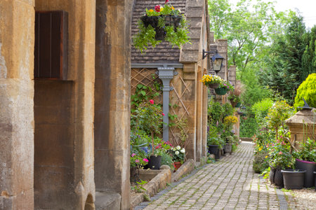 Rows of traditional stone cottages with hanging baskets, flower pots by a path through small gardens, Cotswolds village, summertime scene .の写真素材