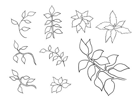 botanical illustration, floral clip art, design elements set, green leaves, jungle greeneryのイラスト素材
