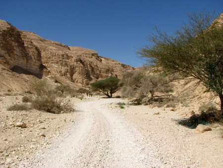 Desert road with mountains background and blue sky.Negev desert.The Negev is the desert region of southern Israel. The indigenous Bedouin citizens of the region refer to the desert as al-Naqab.の写真素材