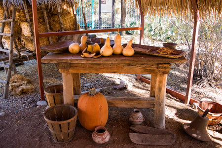 Gourds and pumpkins on displayの写真素材
