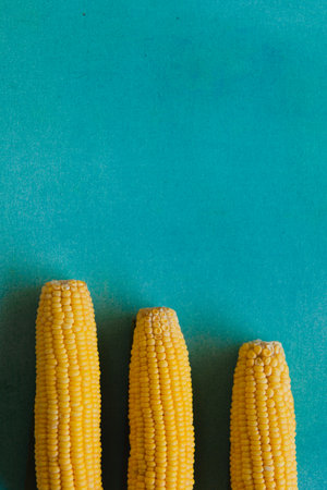 Colorful minimalistic still life of 3 ripe yellow cob of corn on a bright blue textured background. Vegan healthy food concept. Contrast food background with copy space.の写真素材