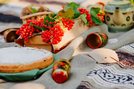 Summer picnic outdoor. Bright and colorful hipster lunch in the park.