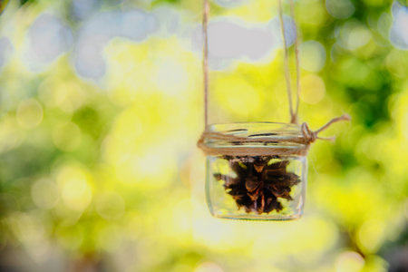 Rustic style decoration outdoor. Pine cones in glass jars hung on ropes. Summer green nature background with copy space.の写真素材