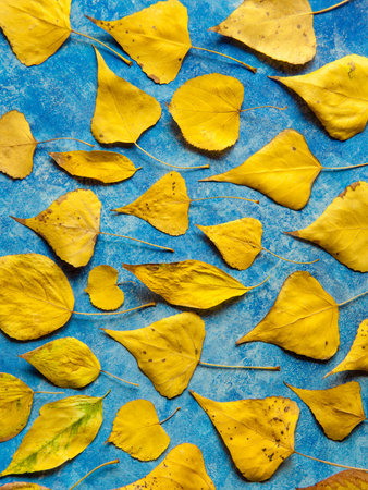 Autumn yellow leaves background. Bright foliage on textured blue surface. Fall season pattern.