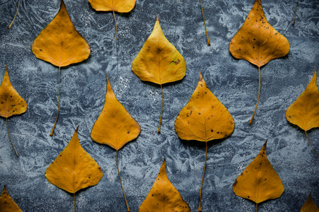 Autumn yellow leaves background. Bright foliage on textured blue surface. Fall season pattern.