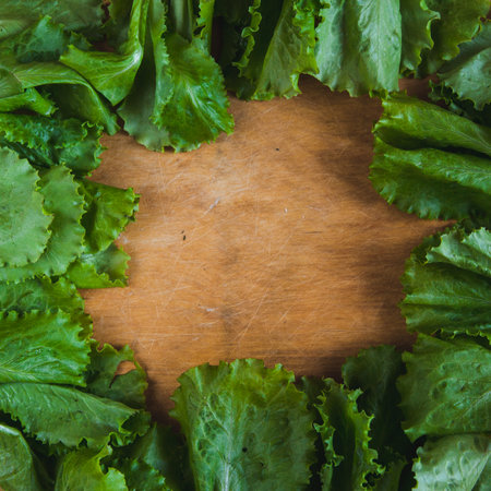 Vegetable square frame background with copy space. Fresh raw letucce flat lay on wooden cutting board. Vegan food concept. Healthy diet menu.の写真素材