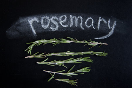 The inscription of rosemary with chalk on a black slate and branches of herbsの写真素材