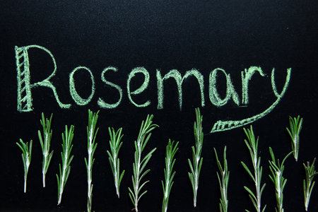 The inscription of rosemary with chalk on a black slate and branches of herbsの写真素材