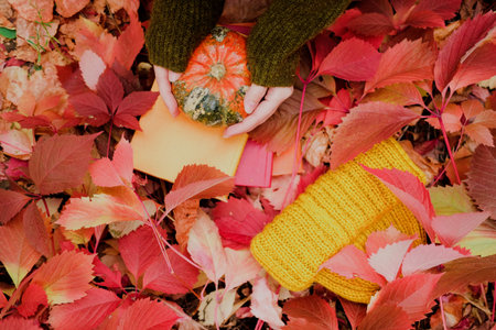 Female hands holding a pumpkin. Paper books and mustard yellow knit hat among colorful ivy foliage in autumn. Fall season still lifeの写真素材