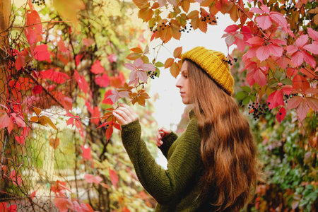 Girl in mustard yellow knit hat and marsh green wool sweater walking among colorful ivy in autumnの写真素材
