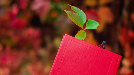 Paper book in red cover with bookmark made of wild grapes leaf with berry on background of colorful autumn ivy foliage. Beautiful nature background of Fall season.の写真素材