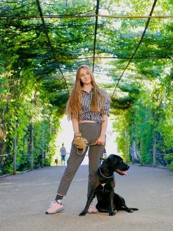 Young girl is walking with her dog on a leash on asphalt sidewalk. Strong black labrador and stafford terrier mix breed in green summer parkの写真素材