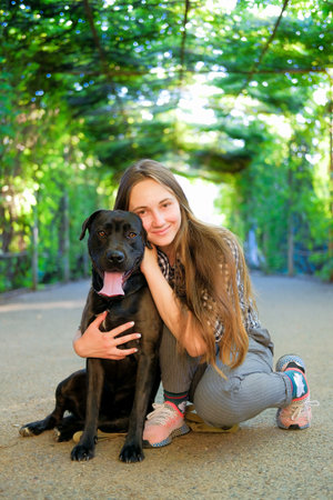 Young girl is walking with her dog on a leash on asphalt sidewalk. Strong black labrador and stafford terrier mix breed in green summer parkの写真素材