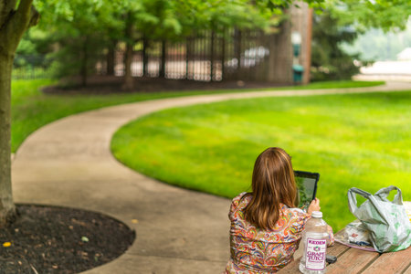 Back view of young woman sitting on a bench in the park and using a digital tabletの写真素材