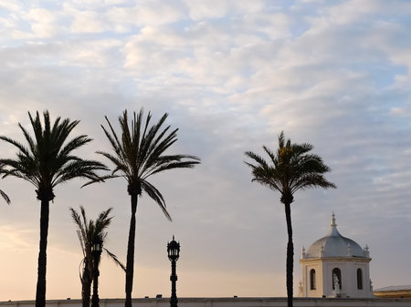 resort of Palma, Cadizのeditorial素材