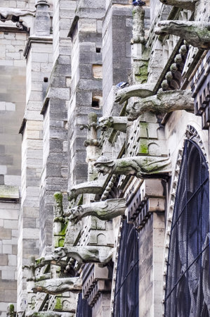 Gargoyles in Notre Dame Cathedral in Parisの写真素材