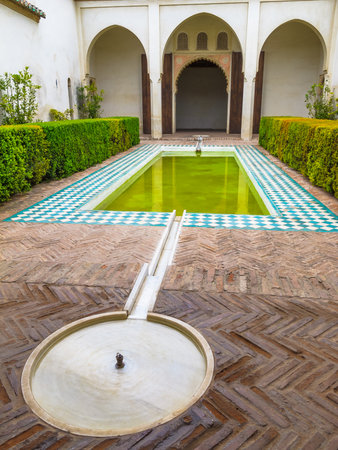 Yard swimming pool, Alcazaba de Malaga, Malaga, Costa del Sol, Andalusia, Spainのeditorial素材