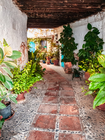 Street with pots and florida in typical Andalusian villageの写真素材