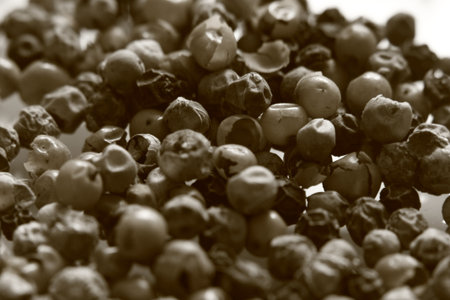 The pepper seeds on the plateの写真素材