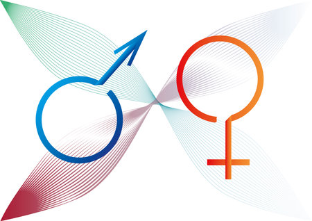 Two gender signs created from ribbonのイラスト素材