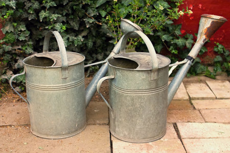 Two old wate cans on the old tiles with ivyの写真素材