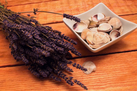 Sea shells in bowl and levander on wooden boardの写真素材