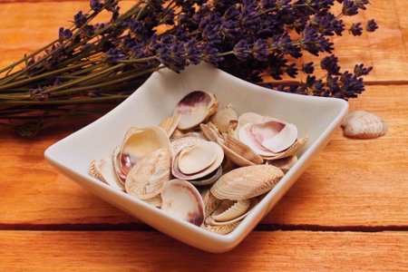 Sea shells in bowl and levander on wooden boardの写真素材