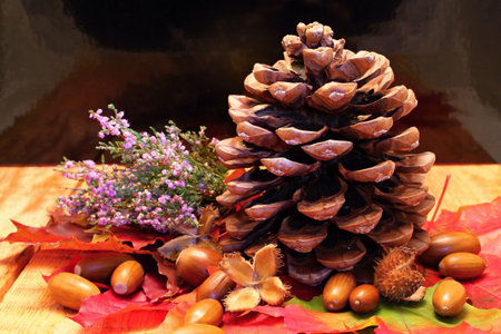 Big pinecone on wooden table with autumn decoration around and reflection marks