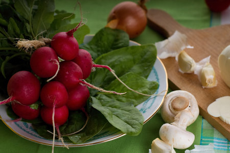 Horizontal photo of bunch of radishes on plate together with spinach leaves and mushrooms, garlic and onions around. All is placed on green clothの写真素材
