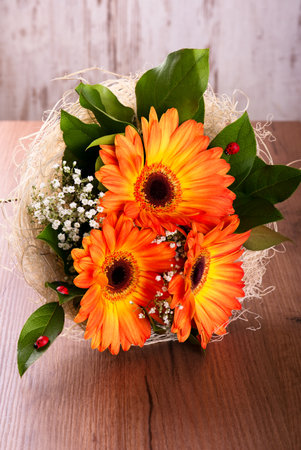 Vertical photo of bouquet. Bouquet of orange gerberas. Gerberas flowers with green leaves. Small red ladybugs on leaves. Small white blooms among gerberas. Flowers on wooden board.の写真素材