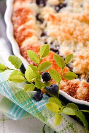 Vertical photo of blueberry branch with several berries harvested in forest. Branch is next to baking dish with homemade fruit pie placed on green checkered towel.の写真素材