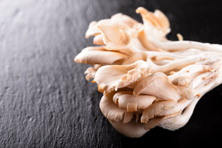 Horizontal photo of fresh bunch of oyster mushroom. Healthy foodstuff placed on black slate stone board. Stone plate with nice textured surface.の写真素材