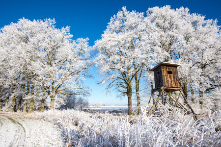 Horizontal photo of winter landscape with wooden hunting shelter which was built on the side of pond where grow many trees covered by heavy white frost. Ground is covered by snow. Sky is blue.の写真素材