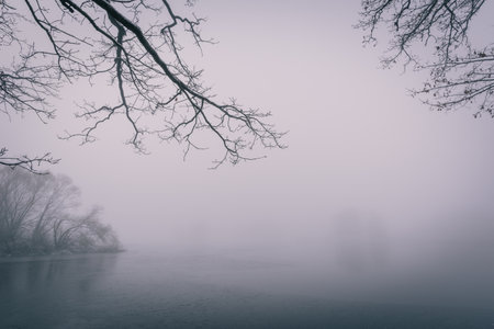 Horizontal photo of winter landscape with heavy morning fog. Pond covered by ice with few pieces of frozen grass. Several trees and branches are next to pond. Sky is covered by fog.の写真素材