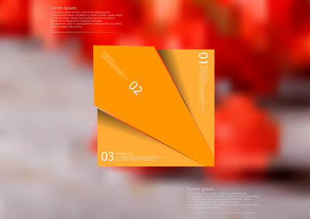 Illustration infographic template with motif of orange rhombus randomly divided to three sections with simple signs. Blurred photo with natural motif with red blooms of physalis is used as background.のイラスト素材