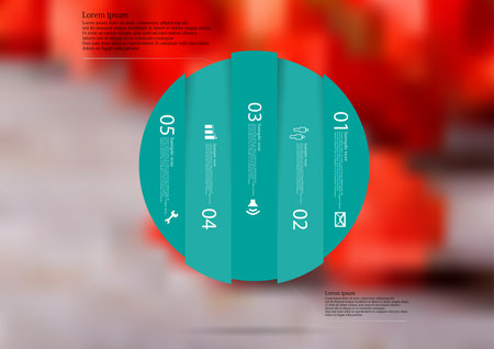 Illustration infographic template with motif of circle vertically divided.のイラスト素材