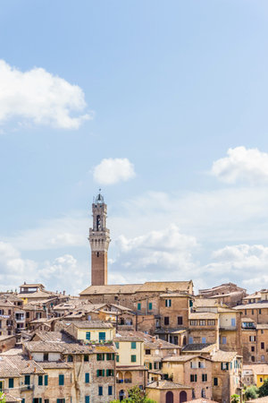 Vertical photo with view on the town hall tower in over the houses and buildings in historic ancient...
